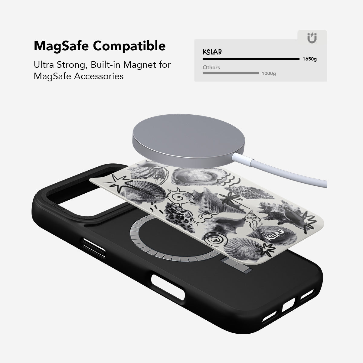 Coastal Curiosities | Seashell Sketch iPhone Case