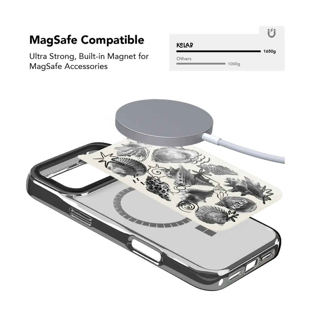 Coastal Curiosities | Seashell Sketch iPhone Case