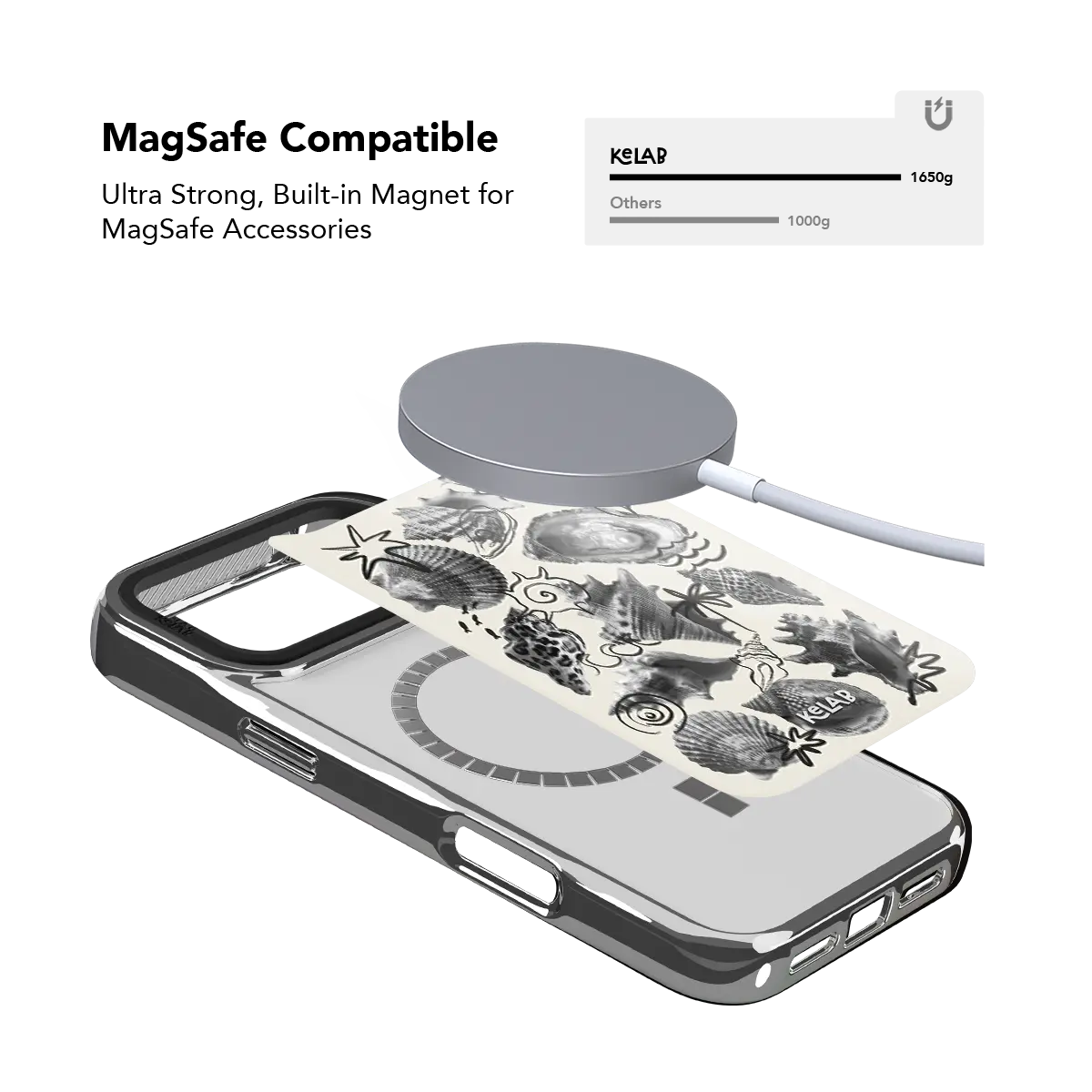 Coastal Curiosities | Seashell Sketch iPhone Case